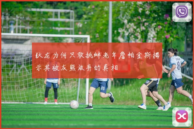 狄龙为何只敢挑衅老年詹帕金斯揭示其被灰熊放弃的真相
